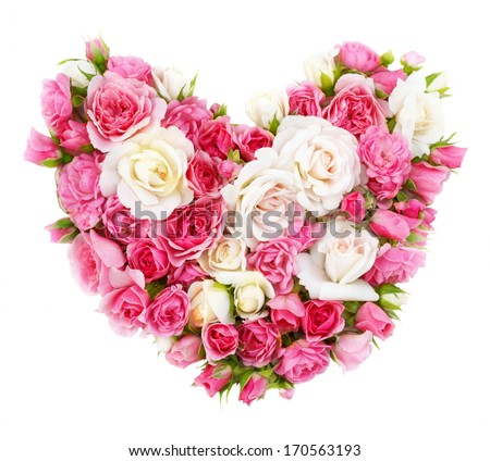 Roses flowers heart shape isolated. - stock photo