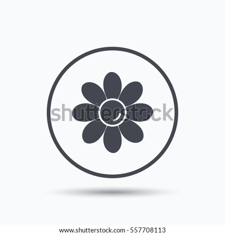 Flower Icon Florist Plant Petals Symbol Stock Vector 447641278