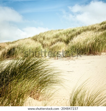 Sunny Beach Sand Dunes Blue Sky Stock Photo 102217855 - Shutterstock