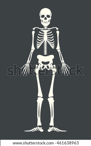 Angry Skeleton Aggressive Dead Evil Skull Stock Illustration 608560709 ...