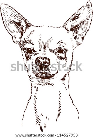 Vector Illustration Pug Dog Head Isolated Stock Vector 150306266 ...