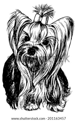 Yorkshire Terrier Dog Hand Drawn Sketch Stock Vector 364720601 ...