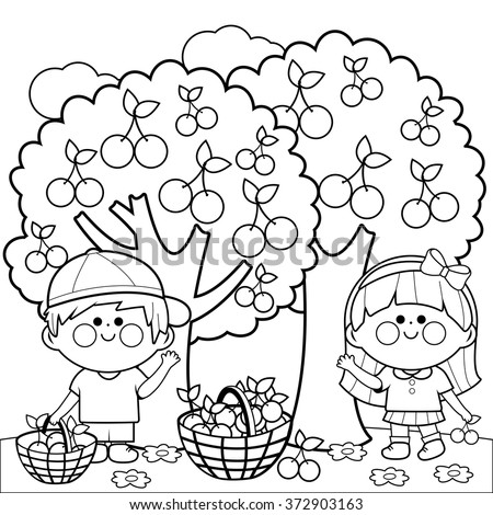 Download Children Picking Apples Coloring Book Page Stock Vector ...