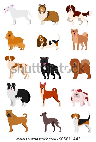 Small Dog Breeds Set Stock Vector 609138758 - Shutterstock