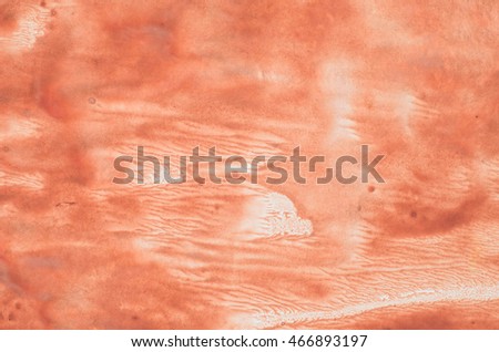 footprints sand along suoi stock photo 546483796 bitewound stock photo 144096520 footprints sand along suoi stock photo 546483796 bitewound stock photo 144096520