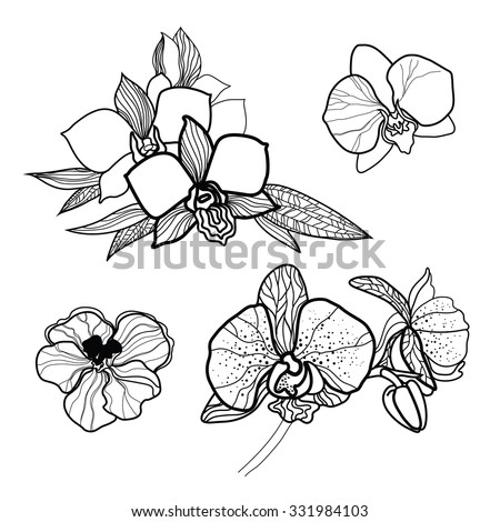 Two Artistically Painted Black Orchid On Stock Vector 124261246 ...