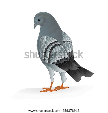 estimating the ability of birds to Estimating the ability of birds to sustain additional human-caused mortalities using a simple decision rule and allometric relationships. estimating the ability of birds to Estimating the ability of birds to sustain additional human-caused mortalities using a simple decision rule and allometric relationships.