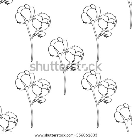 Cotton Branche Cotton Bolls Plant Gossypium Stock Illustration