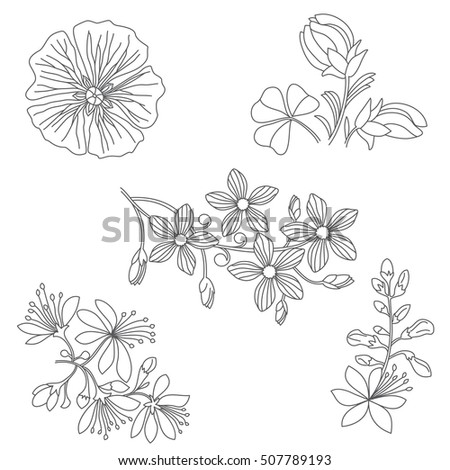 Set Floral Freehand Design Elements Stock Vector 90946082 - Shutterstock