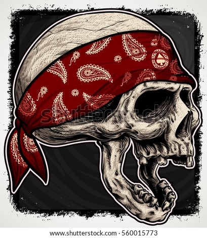 Hand Drawn Skulls Vector Illustrations Stock Vector 