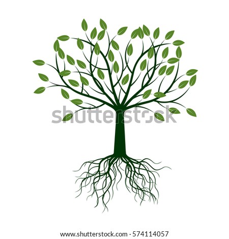 Green Tree Roots Vector Illustration 스톡 벡터 554825683 - Shutterstock
