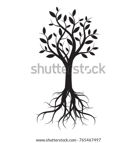 Tree Roots On Black White Background Stock Vector 104551157 - Shutterstock