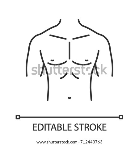 body chest drawing