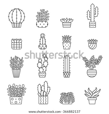 Image Result For House Plant Display Image Result For House Plant Display