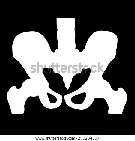 Pelvic Hip Bone Stock Illustration 290284313 - Shutterstock