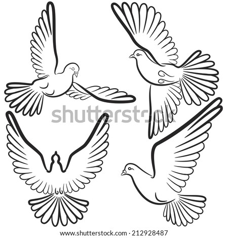 Hand Drawn Vector Sketches Beautiful White Stock Vector 59396326 ...