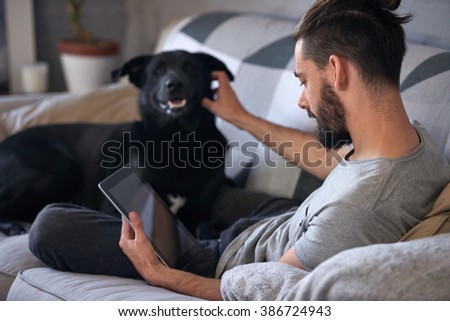 Hipster Man Snuggling Hugging His Dog Stock Photo 386724640 ... - Dog owner petting and scratching his pet on the couch sofa, while surfing  the internet