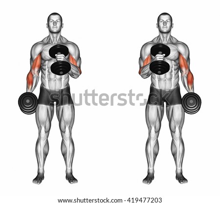 Projection Human Body Apollo Pose Showing Stock Illustration 434362156 ...