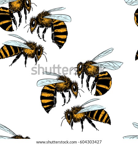 Vector Illustration Hand Drawn Honey Bee Stock Vector 545507845