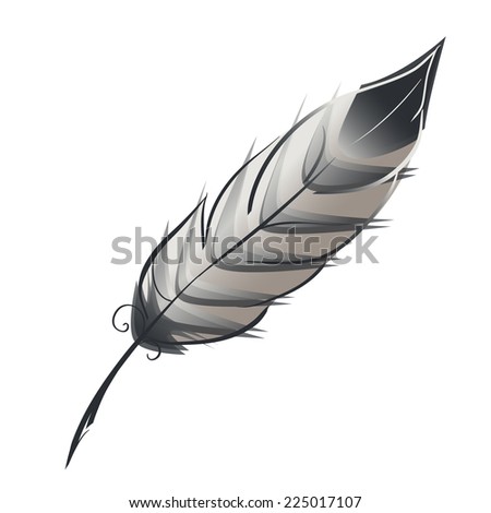 Vector Black Feather Icons Set Stock Vector 165277973 - Shutterstock