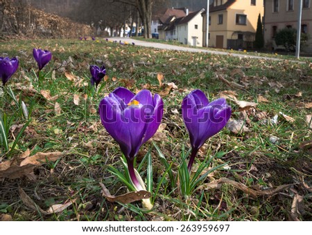 Single sulz am neckar
