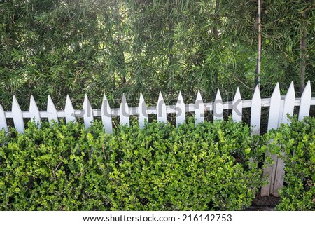 White Picket Fence Along Side Perennial Stock Photo 3458437 - Shutterstock