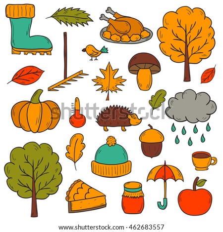 Autumn Icon Objects Set Design Stock Vector 295629059 - Shutterstock