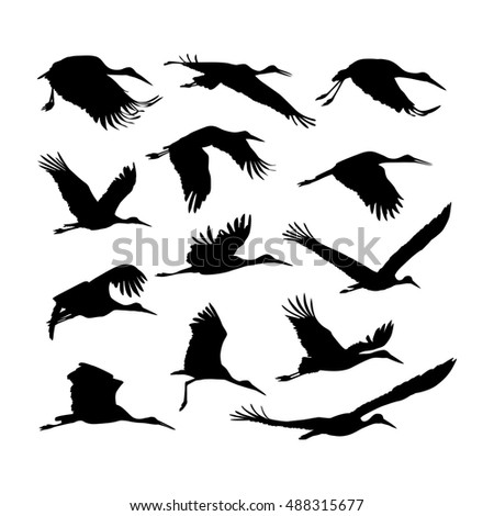 Vector Silhouette Set Crow Raven Bird Stock Vector 26504161 - Shutterstock