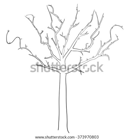 Cartoon Hand Drawn Nature Illustration Four Stock Vector 392445919