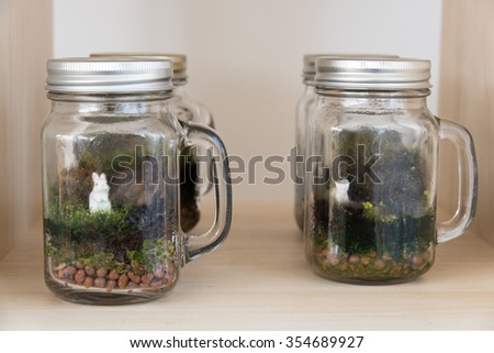 Small Garden Terrarium Bottleplants Bottle Isolated Stock Terrarium Many little plants growth inside glass container for hobby and decorate house Give