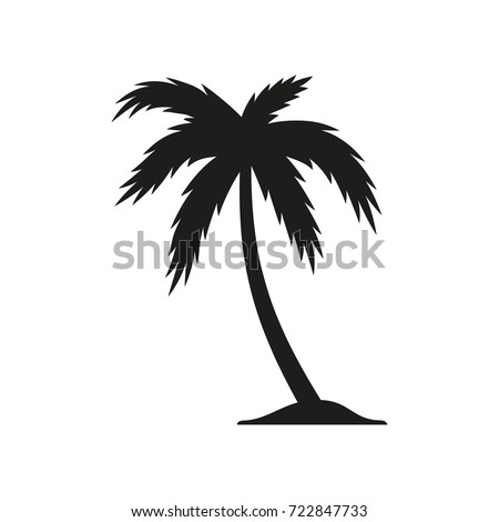 Vector Illustration Hand Drawn Palm Trees Stock Vector 468757769 ...