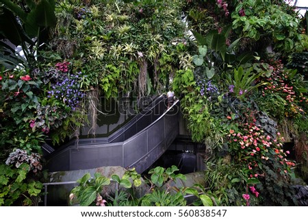 Garden By The Bay Award singapore jan 2016 winter garden singapore stock photo 560838532 Garden By The Bay Award singapore jan 2016 winter garden singapore stock photo 560838532