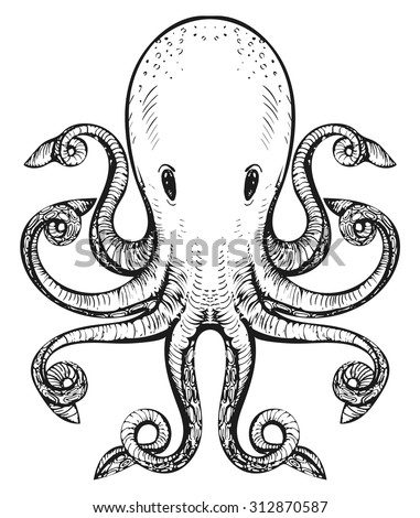 Blueringed Octopus Classic Drawn Ink Illustration Stock Vector ...