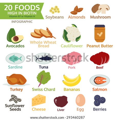 Green Fruits Collection Info Graphic Food Stock Vector