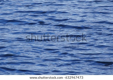 Calm Water Texture water texture stock photo 149383433 - shutterstock Calm Water Texture water texture stock photo 149383433 - shutterstock