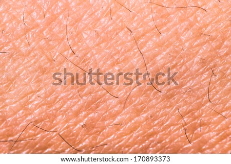 picture of up human skin macro epidermis texture csp17528076 search stock photography macro eczema on grip skin stock photo 7891171 picture of up human skin macro epidermis texture csp17528076 search stock photography macro eczema on grip skin stock photo 7891171