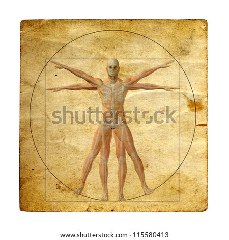 swimming and the skeletal structure biology essay In many bony fish these have evolved into swim operculum and a predominately bony skeleton took place in the ancestral osteichthyes biology . swimming and the skeletal structure biology essay In many bony fish these have evolved into swim operculum and a predominately bony skeleton took place in the ancestral osteichthyes biology .