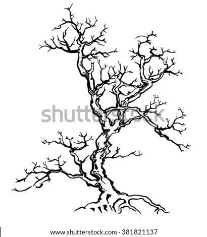 Black Silhouette Branch Tree On White Stock Vector 9174646 - Shutterstock