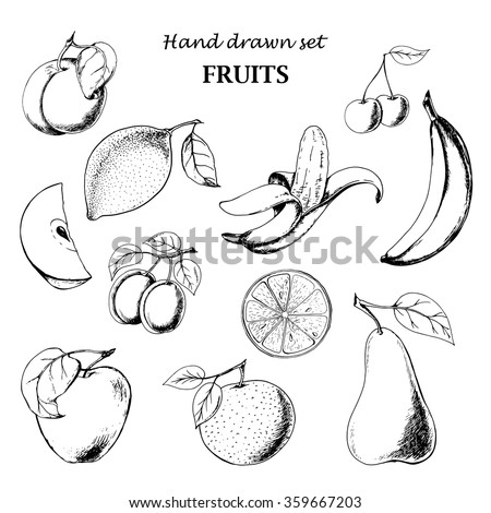 Vector Illustration Assorted Fruits Outline Drawing Stock Vector