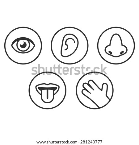 Symbols Five Human Senses Sight Smell Stock Illustration 307347596 ...