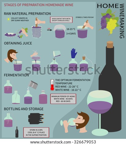 Home Wine Making Wine Grapes Step Stock Vector 326075951 - Shutterstock