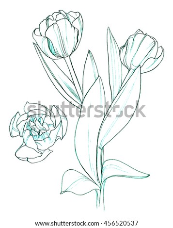 Hand Drawn Tulips Vector Stock Vector 113427214 - Shutterstock