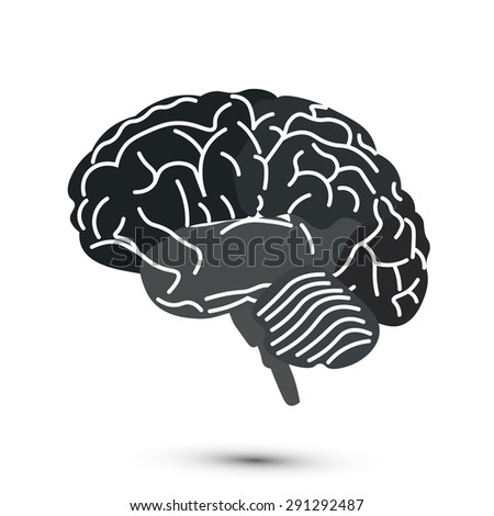 Illustration Brain Stock Illustration 435698956 - Shutterstock