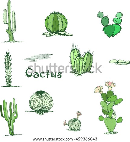 Cactus Succulent Watercolor Seamless Pattern Hand Stock Illustration 491065960 - Shutterstock