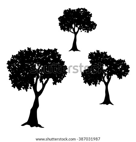 Set Vector Trees Leaves Stock Vector 157561205 - Shutterstock