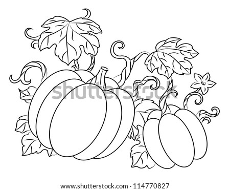 Pumpkin Harvest Drawing Retro Style Thanksgiving Stock Vector 109988057 ...