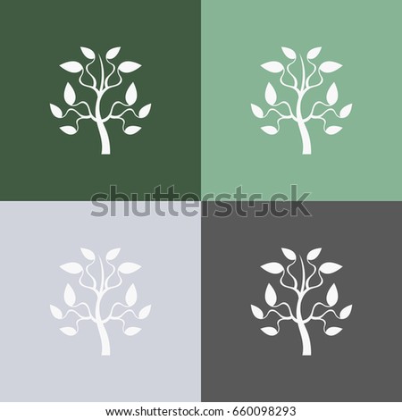 Stage Growth Tree Stock Vector 92495224 - Shutterstock