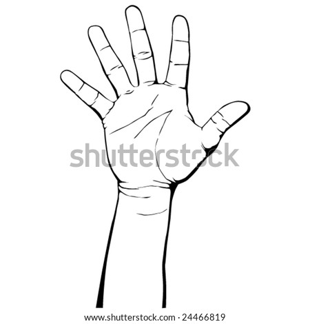 Hand anatomy Stock Photos, Images, & Pictures | Shutterstock