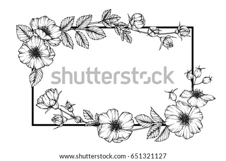 hand drawing sketch jasmine flower black stock vector hand drawing sketch jasmine flower black stock vector