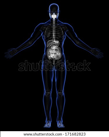 the skin skeletal system 103 understand the functions and disorders of the skeletal system ra may also affect the skin, eyes, lungs, heart, blood, or nerves rheumatoid arthritis is a . the skin skeletal system 103 understand the functions and disorders of the skeletal system ra may also affect the skin, eyes, lungs, heart, blood, or nerves rheumatoid arthritis is a .